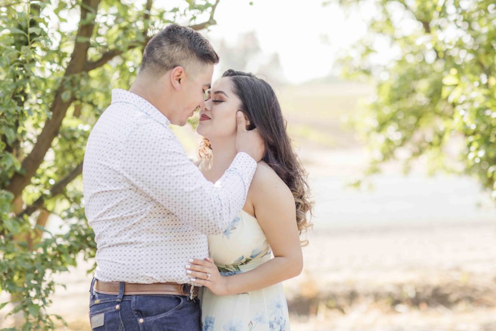 Farm engagement session