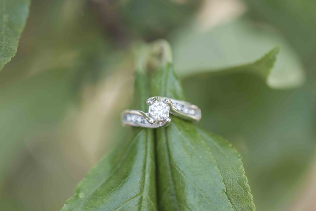 Farm engagement session