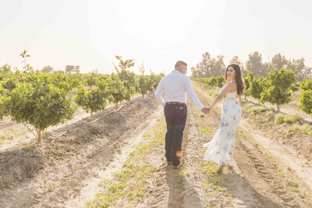 Farm engagement session